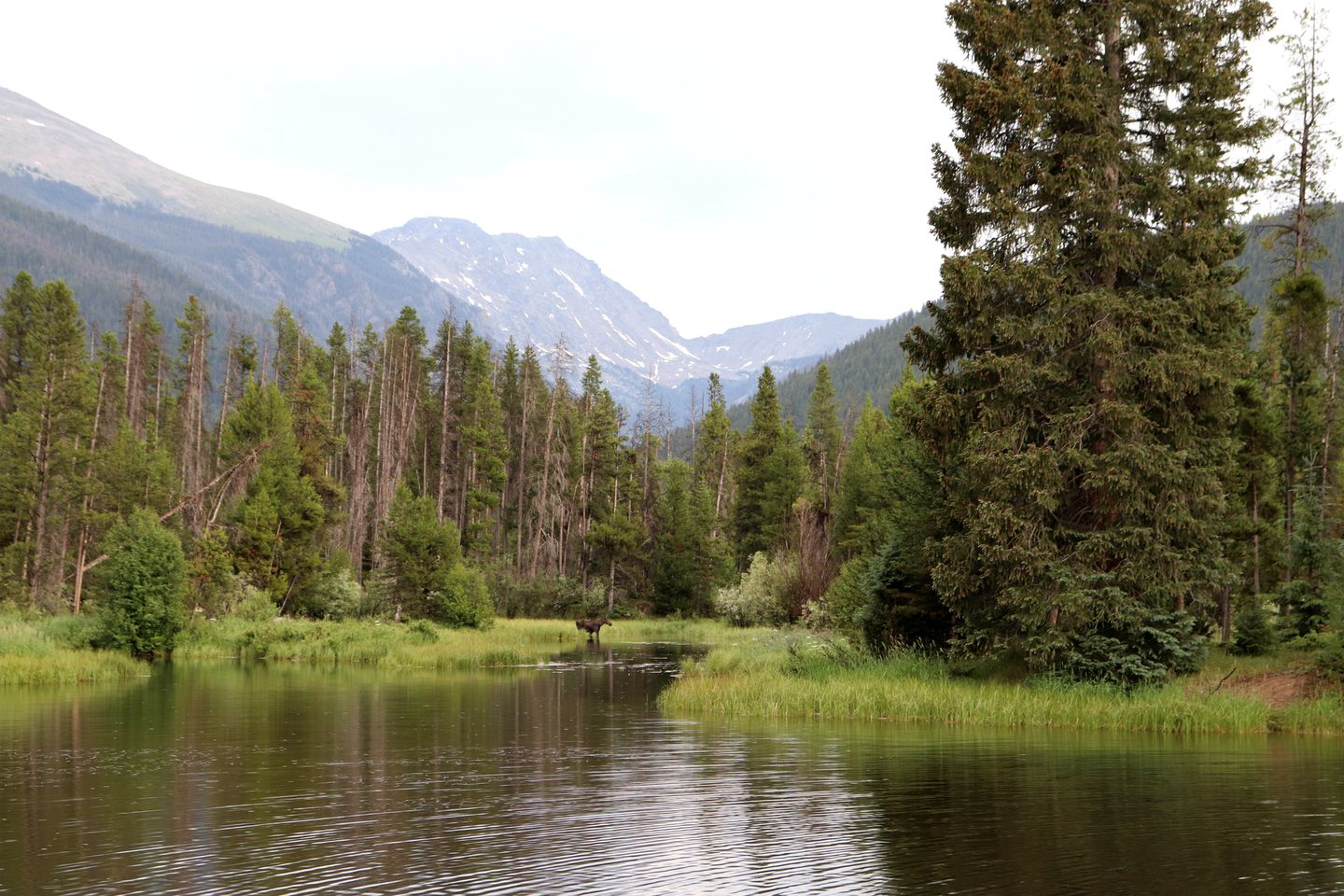 Colorado Glamping in Granby, in this Fully-Equipped Safari Tent Rental