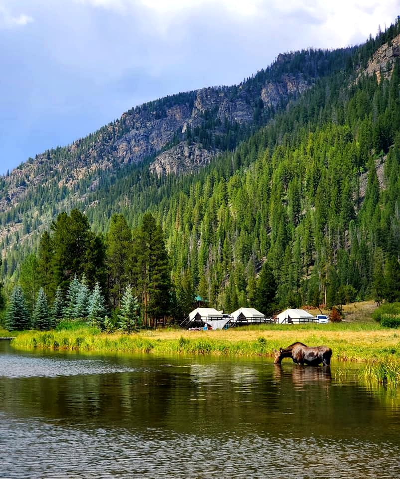 Colorado Glamping in Granby, in this Fully-Equipped Safari Tent Rental