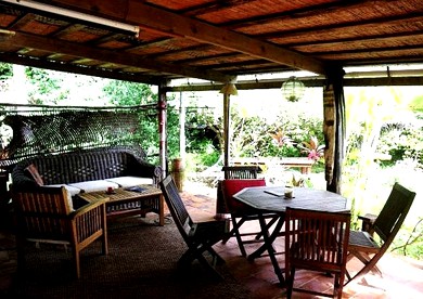 undefined photo 5
