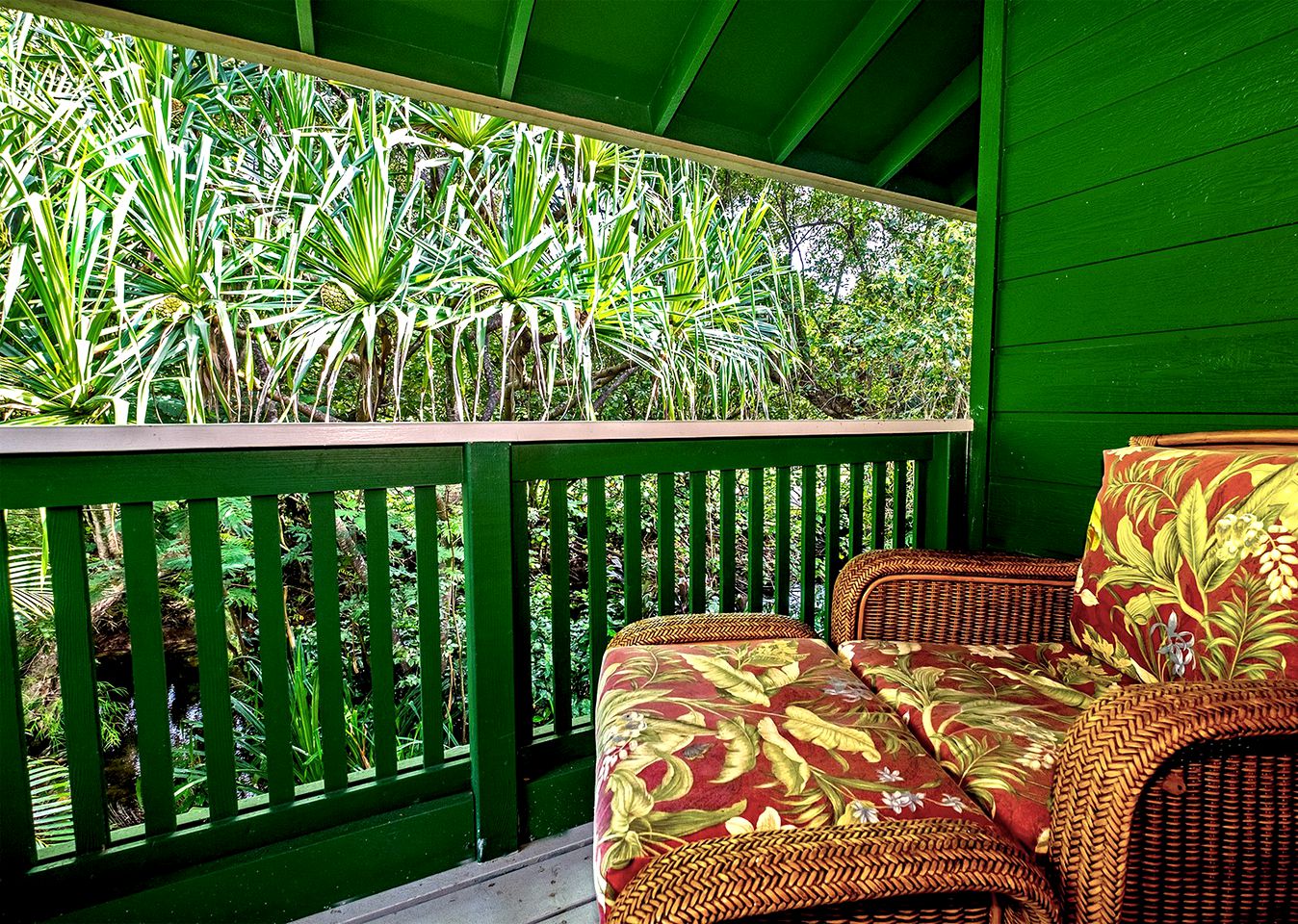 Colorful Elevated Cabin with Wi-Fi near Anini Beach, Kauai, Hawaii