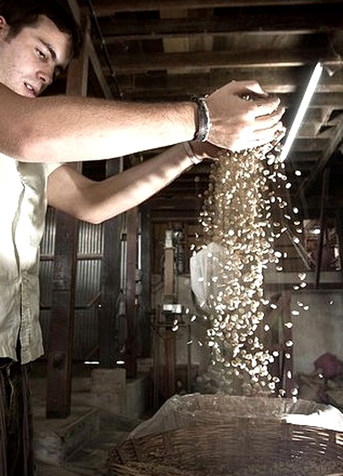 Comfortable Cabins with Hammocks on Large Terrace, Mexico