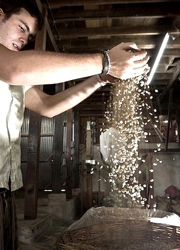 Cabins (Tapachula, Chiapas, Mexico)