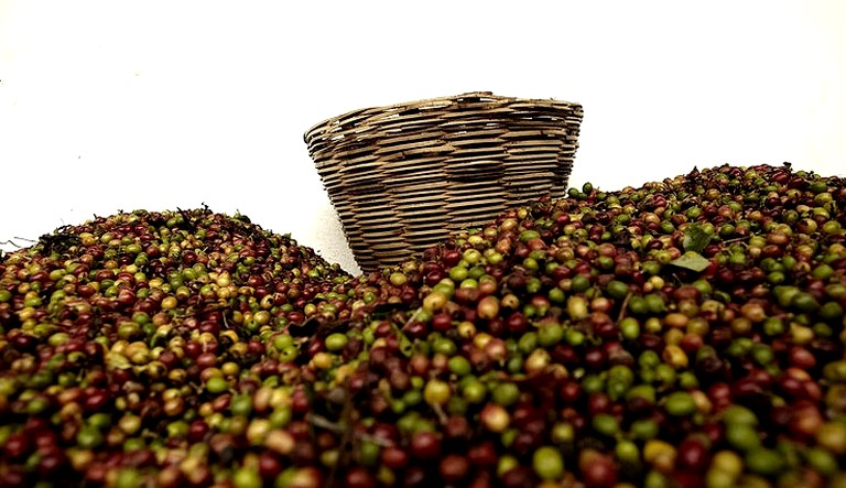 Cabins (Tapachula, Chiapas, Mexico)
