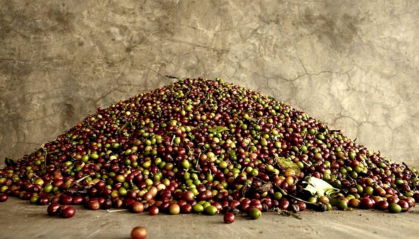 Comfortable Cabins with Hammocks on Large Terrace, Mexico