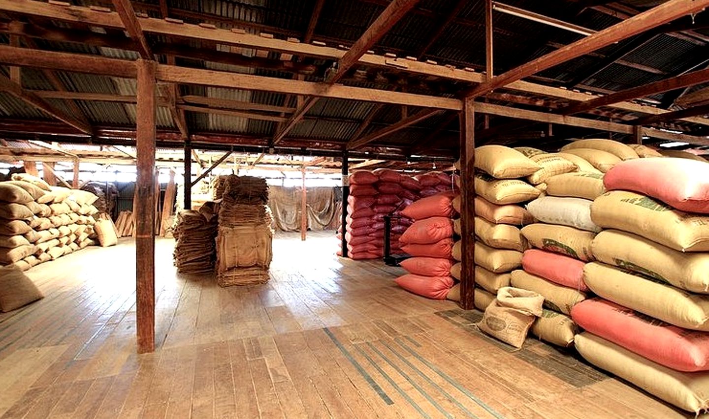 Comfortable Cabins with Hammocks on Large Terrace, Mexico