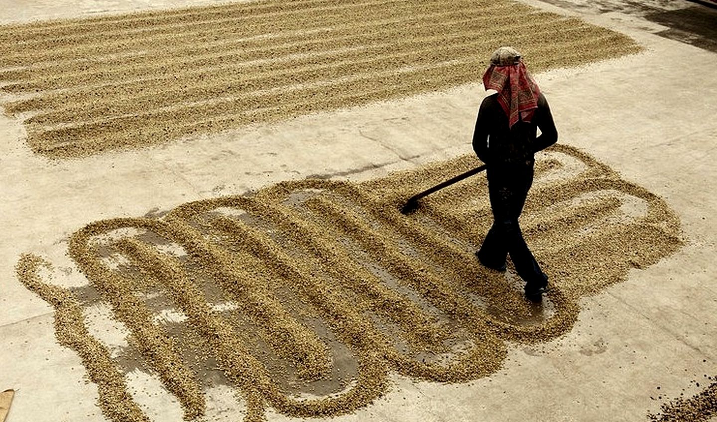 Comfortable Cabins with Hammocks on Large Terrace, Mexico