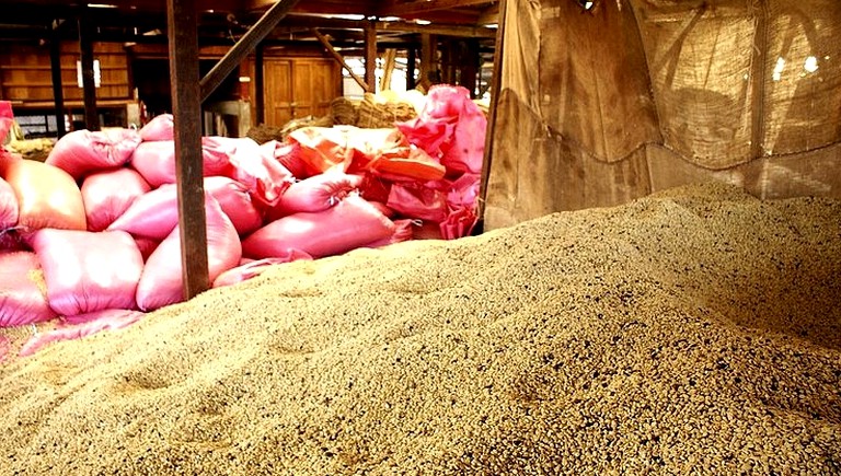 Cabins (Tapachula, Chiapas, Mexico)