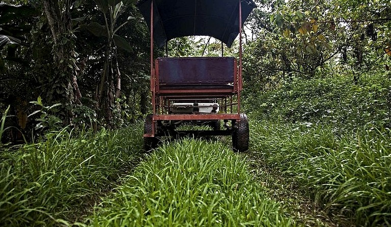 Cabins (Tapachula, Chiapas, Mexico)