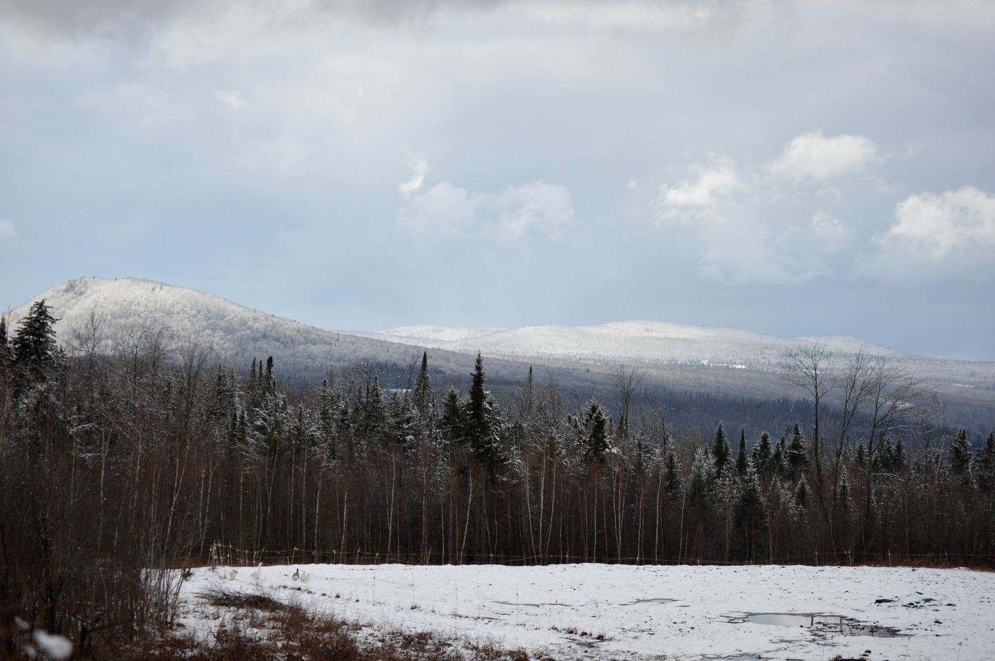 Cottage Getaway in Sheffield, Vermont