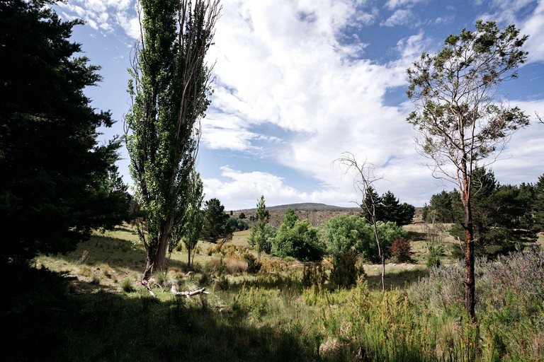 Tiny Houses (Australia, Bungendore, New South Wales)