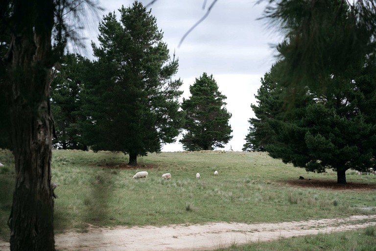 Tiny Houses (Australia, Bungendore, New South Wales)