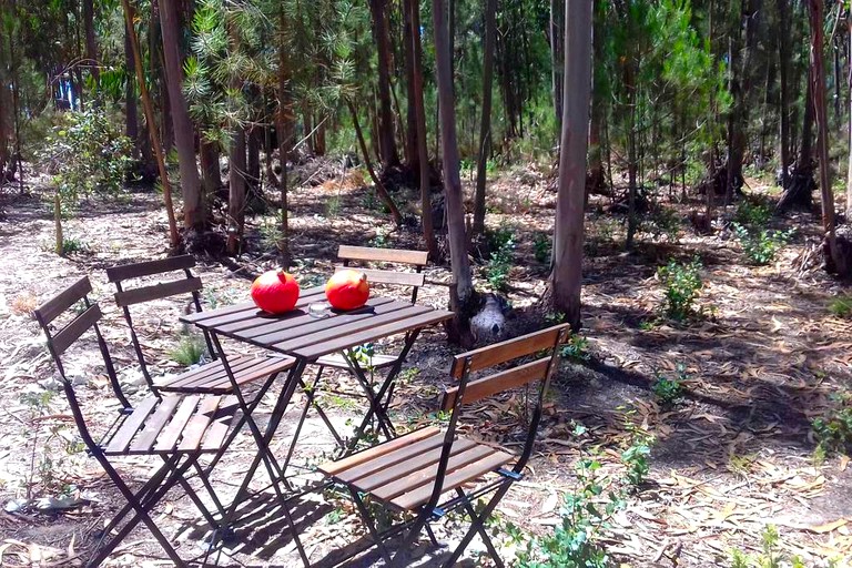 Bell Tents (Zambujeira do Mar, Beja District, Portugal)