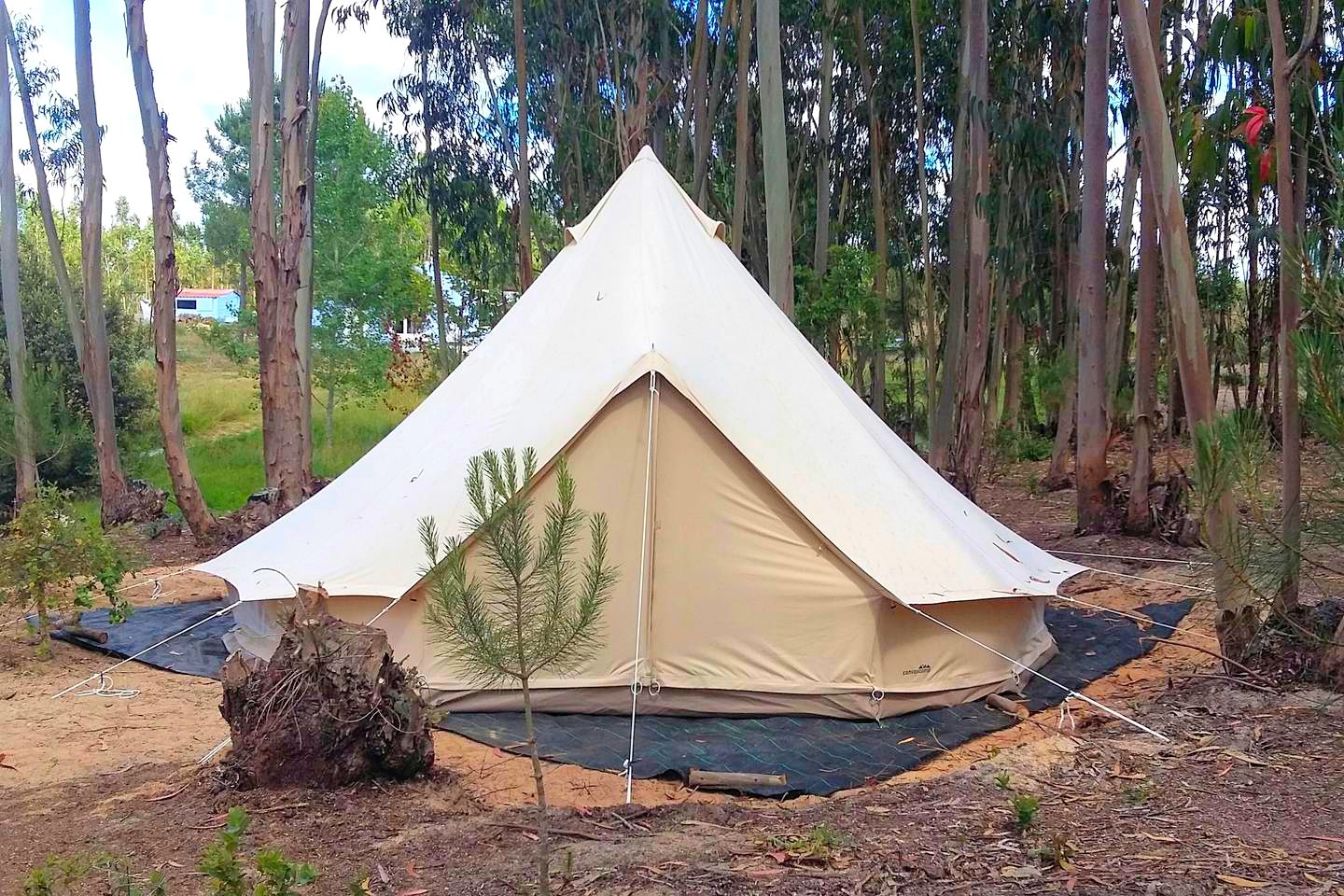 Comfortable Tent Rental near the Beach in Zambujeira do Mar, Beja District, Portugal