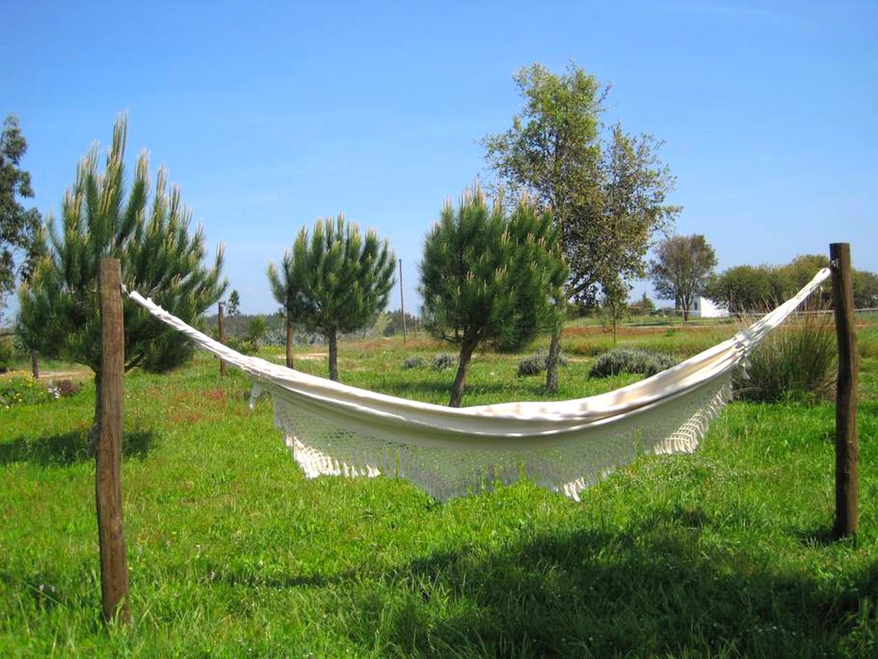 Comfortable Tent Rental near the Beach in Zambujeira do Mar, Beja District, Portugal