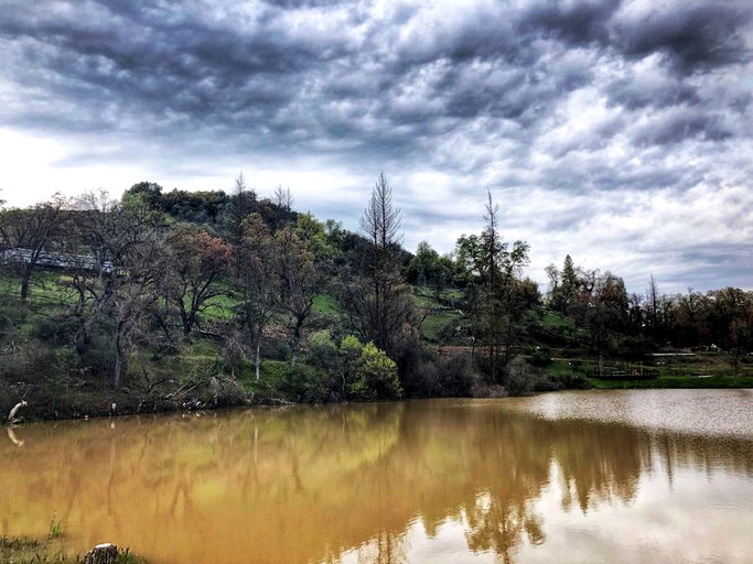 Nature Lodges (Badger, California, United States)