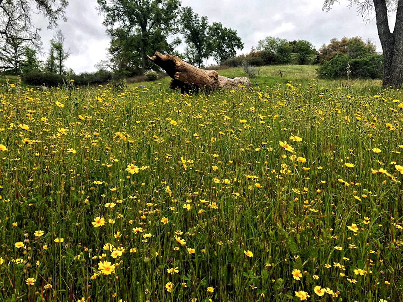 Comfortable Vacation Rental for Two in the Wilderness of Tulare County, California