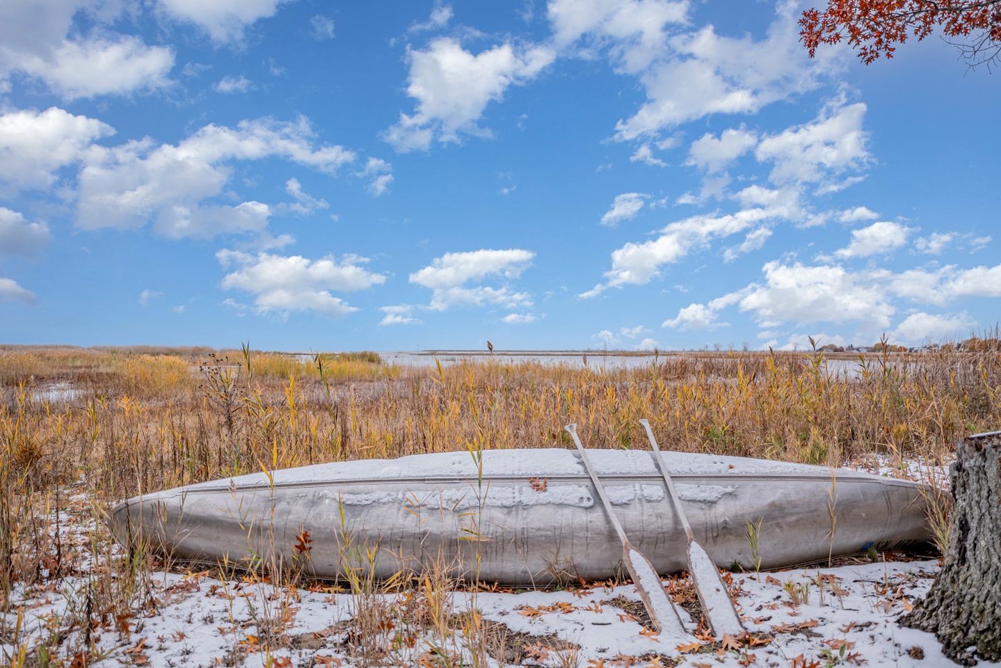 Comfy Sweet Cottage with BBQ Surrounded by Nature in Michigan