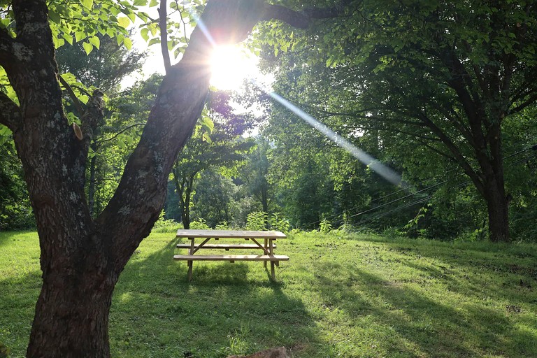 Cabins (United States of America, Bryson City, North Carolina)