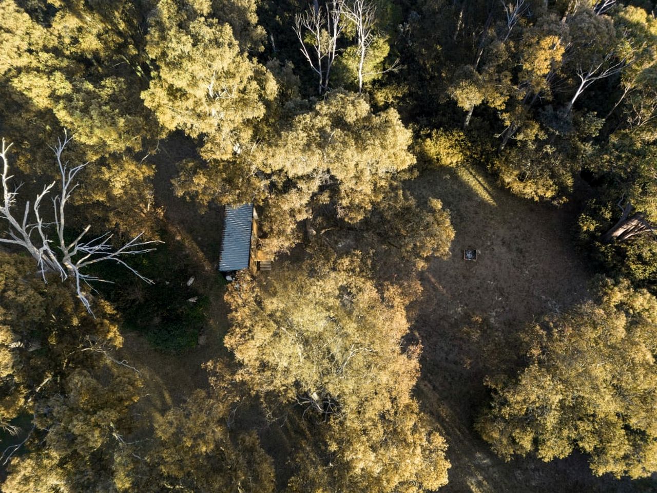 Comfy Tiny House Surrounded by Nature in Victoria