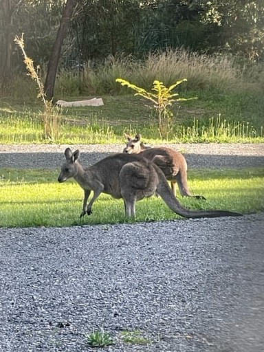 Tiny Houses (Australia, Daylesford, Victoria)