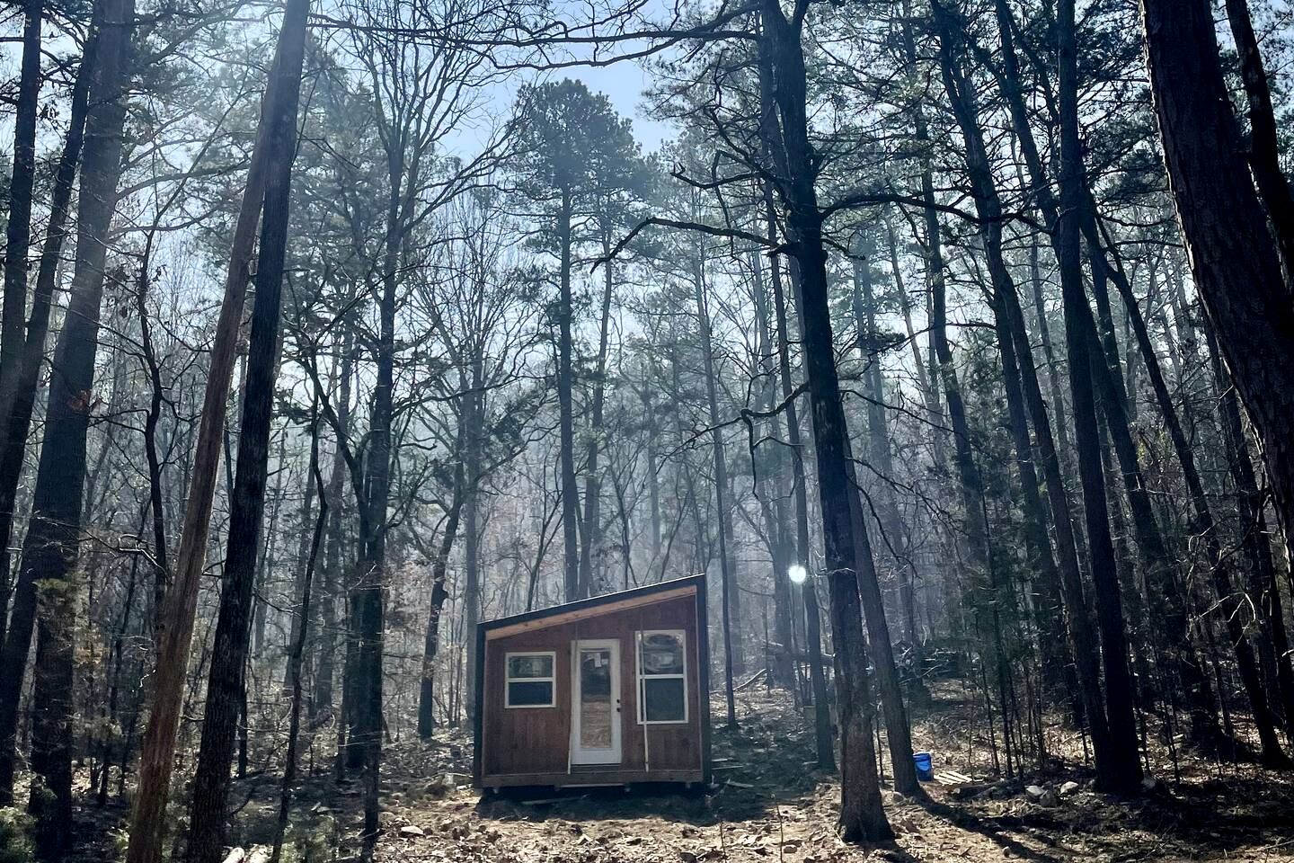 Modern Rustic Tiny Home Surrounded by Peaceful Pines in Boles, Arkansas