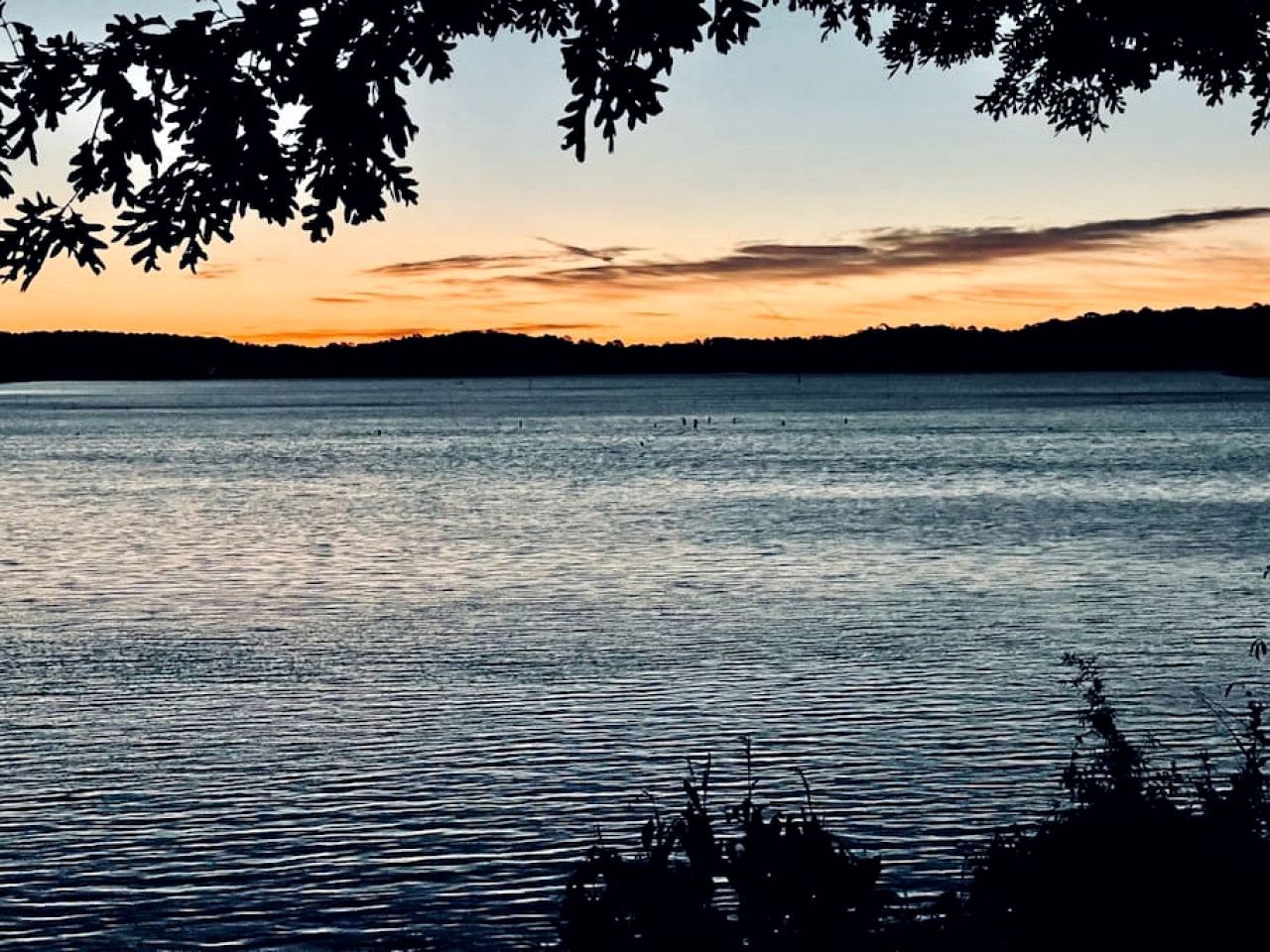 Amazing Vacation Rental in Sabine National Forest on Toledo Bend Lake for a Fantastic Family Escape in Hemphill, Texas