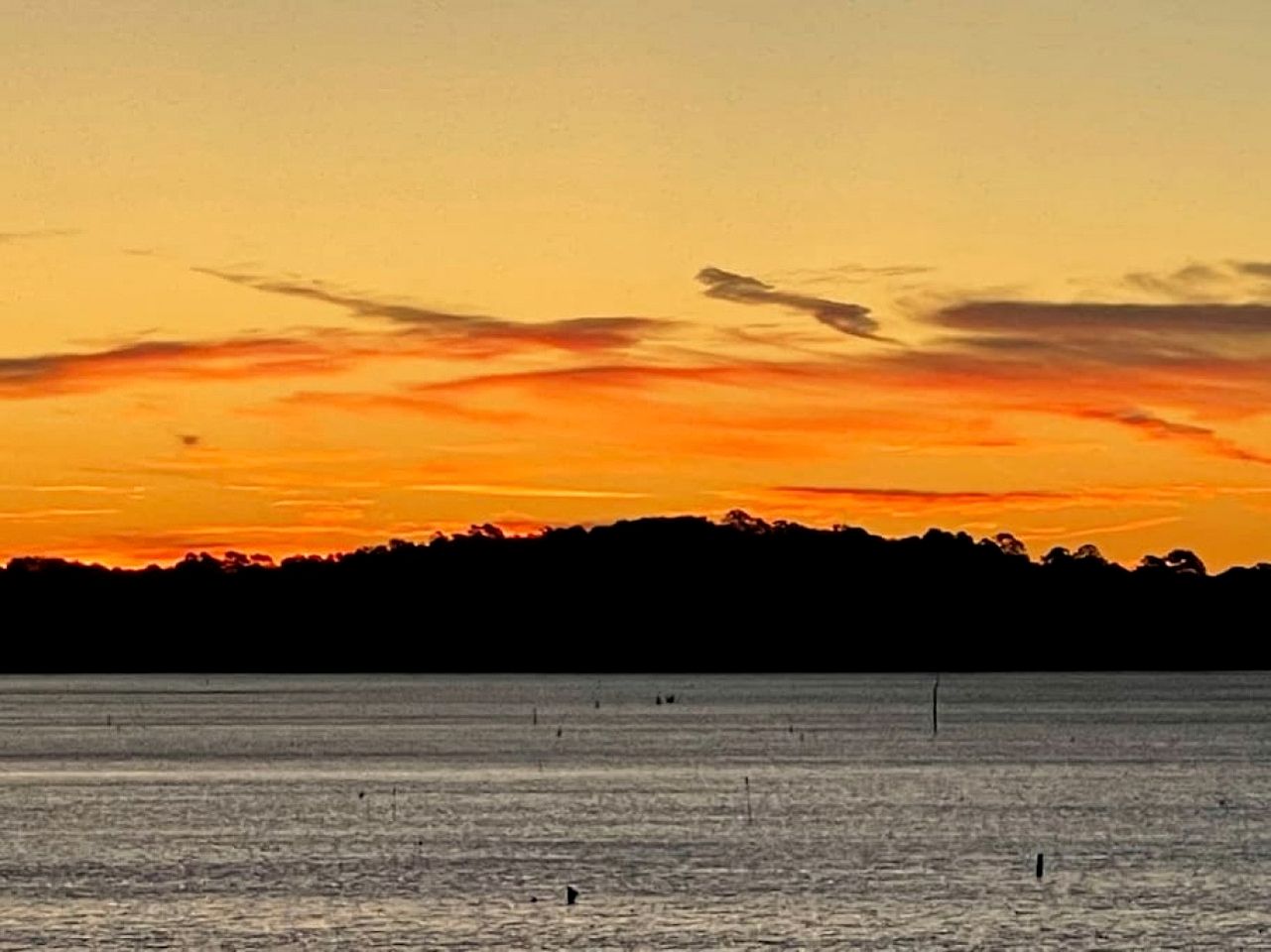 Amazing Vacation Rental in Sabine National Forest on Toledo Bend Lake for a Fantastic Family Escape in Hemphill, Texas