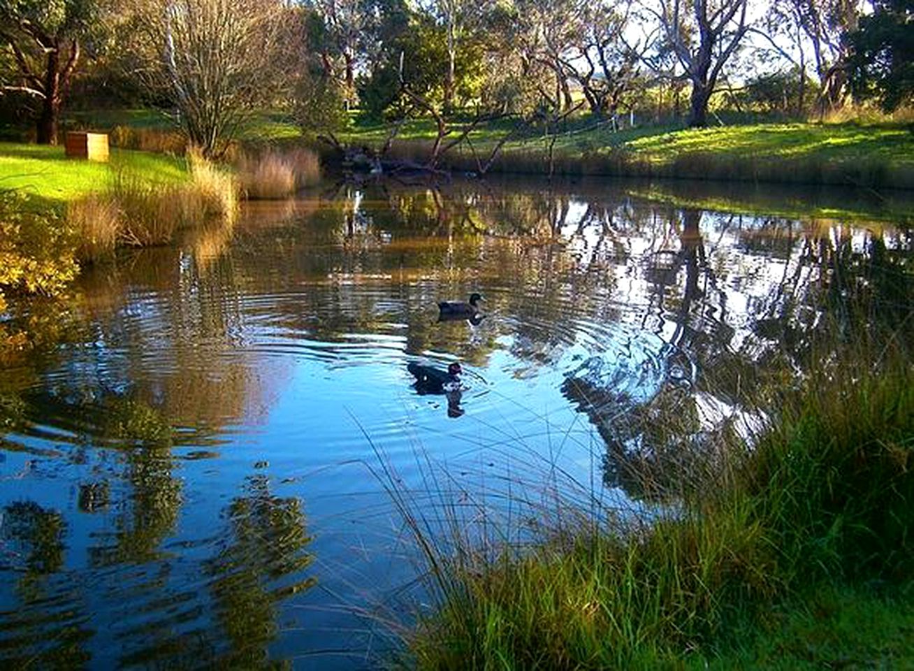 Charming Cabin Rental in the Countryside near Mount Compass, South Australia