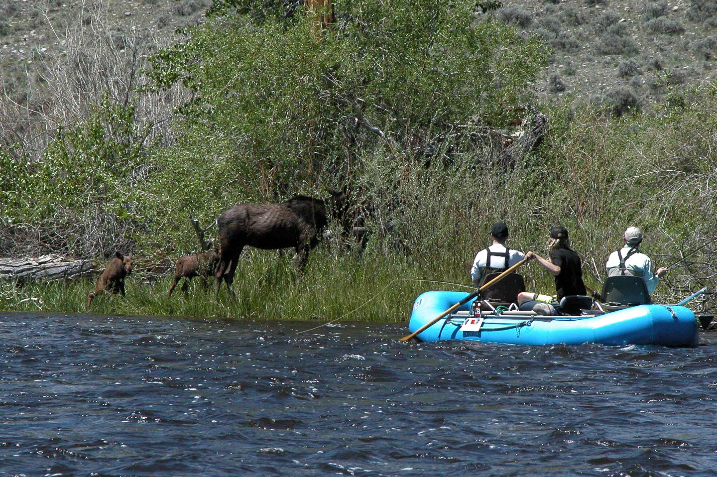 Fishing Getaway at a Riverside Resort near Beaverhead-Deerlodge National Forest, Montana