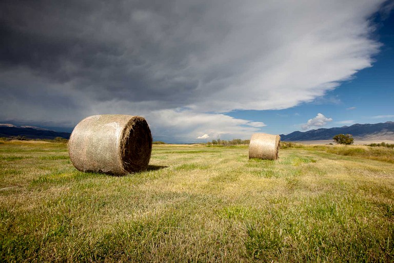 Log Cabins (Wise River, Montana, United States)