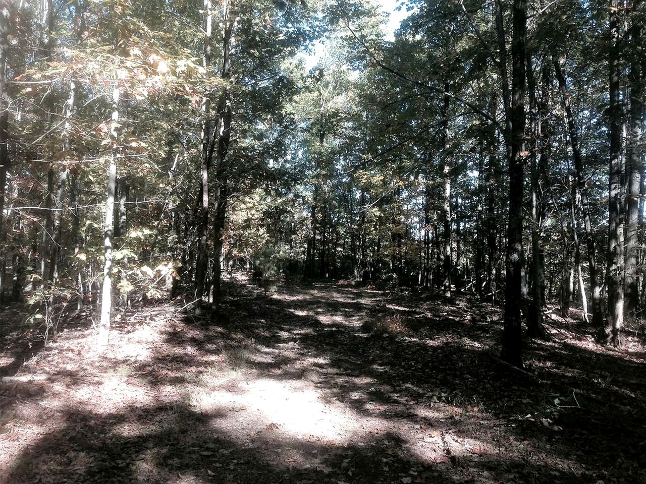 Spacious Vacation Rental for Large Groups in Hanging Rock, West Virginia