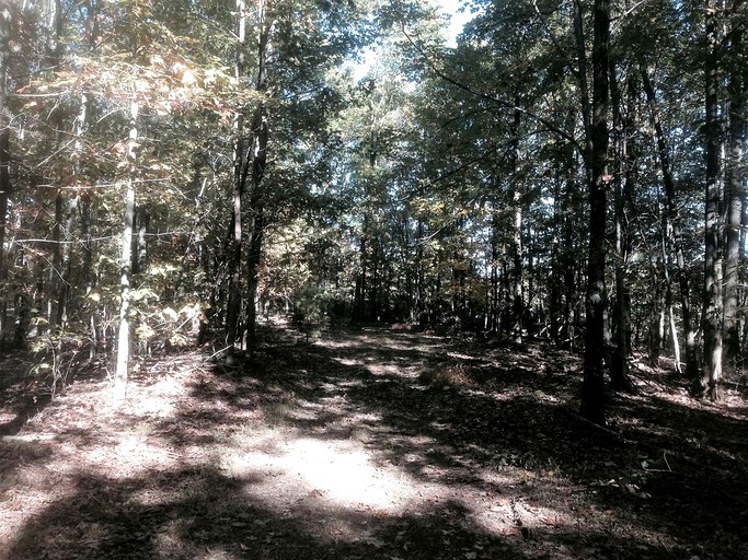 Vacation Rentals (Yellow Spring, West Virginia, United States)