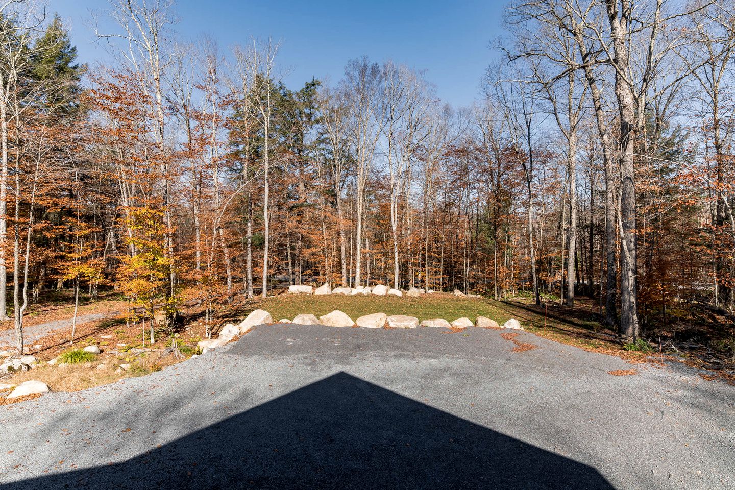 Connect with Nature: Secluded Campsite Sanctuary in New York's Woodlands