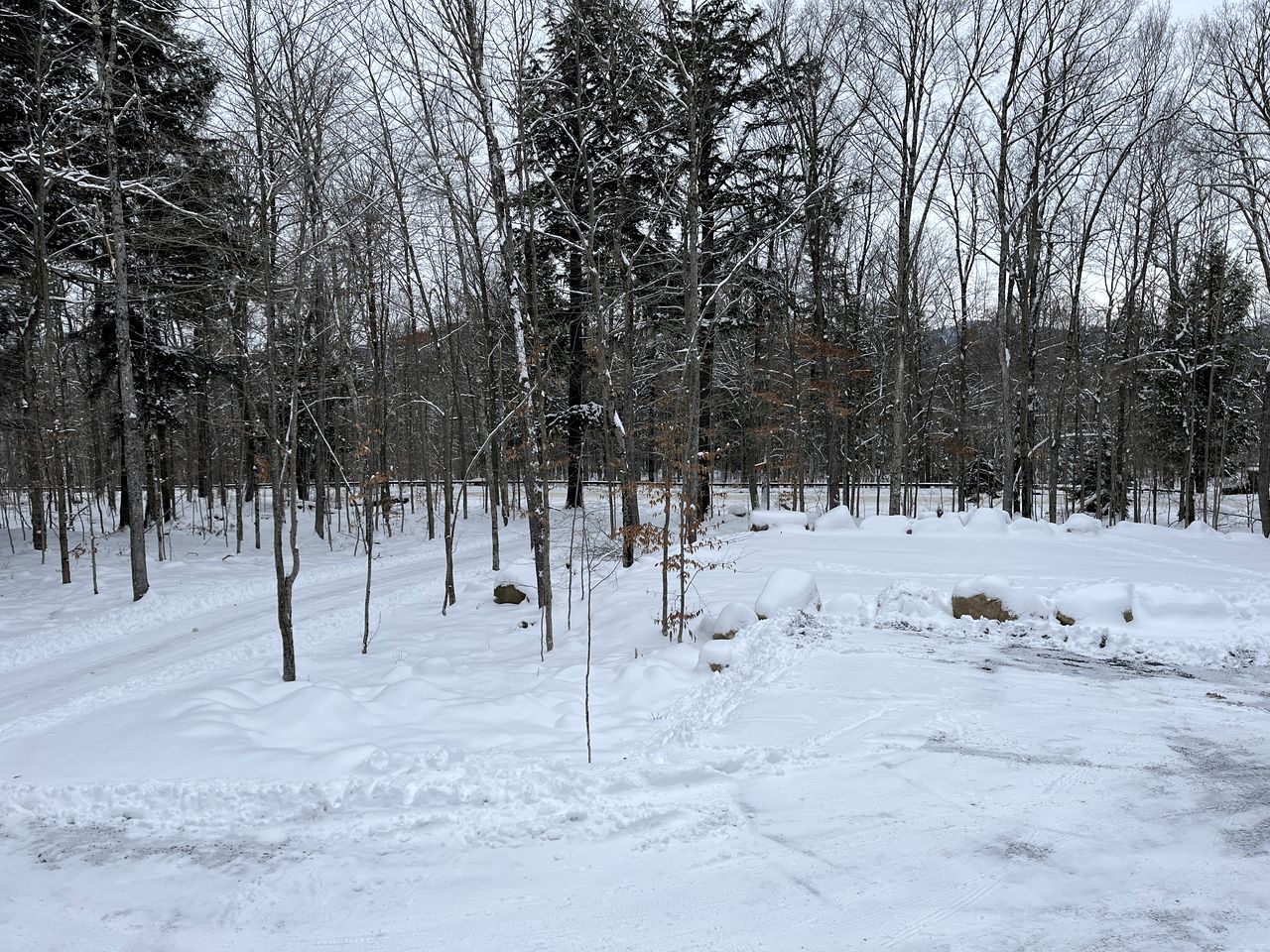 Connect with Nature: Secluded Campsite Sanctuary in New York's Woodlands