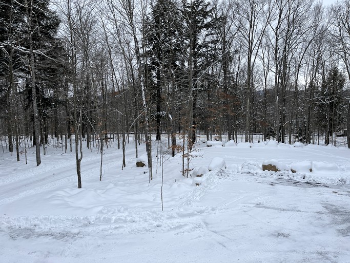 Cabins (United States of America, Webb, New York)