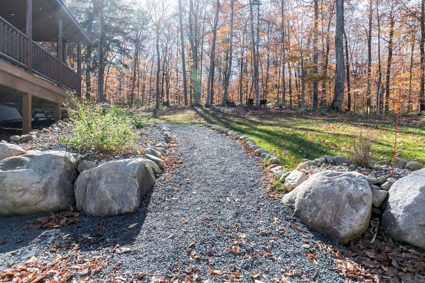 Connect with Nature: Secluded Campsite Sanctuary in New York's Woodlands