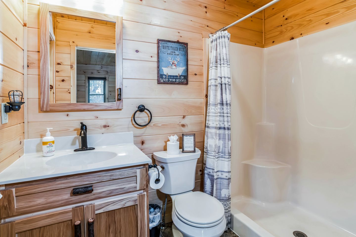 Connect with Nature: Secluded Campsite Sanctuary in New York's Woodlands