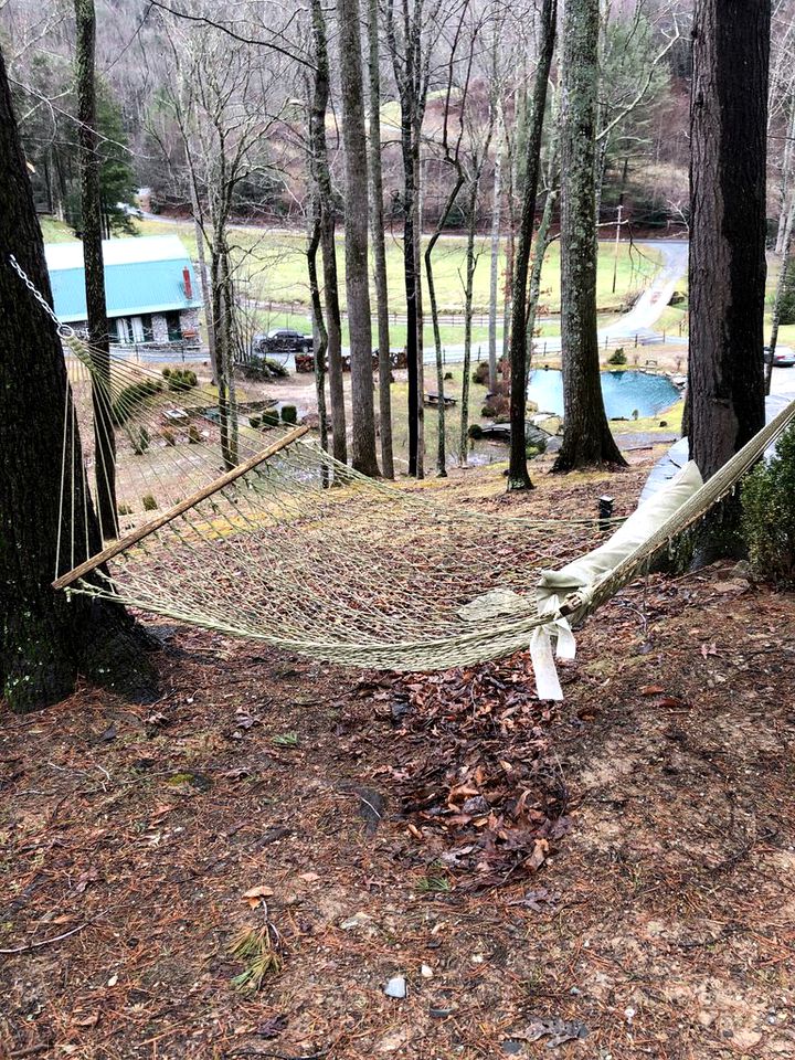 Beautifully Renovated Cottage with a Trout Stream near Watauga Lake, North Carolina
