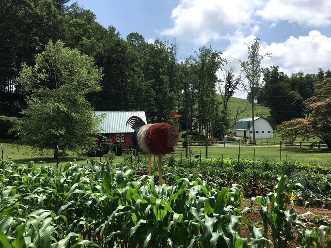 Cabins (Sugar Grove, North Carolina, United States)