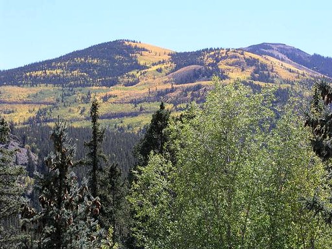 Romantic Cabin Rental with a Beautiful Log Interior near Cathedral, Colorado | Log Cabins (Lake City, Colorado, United States of America)