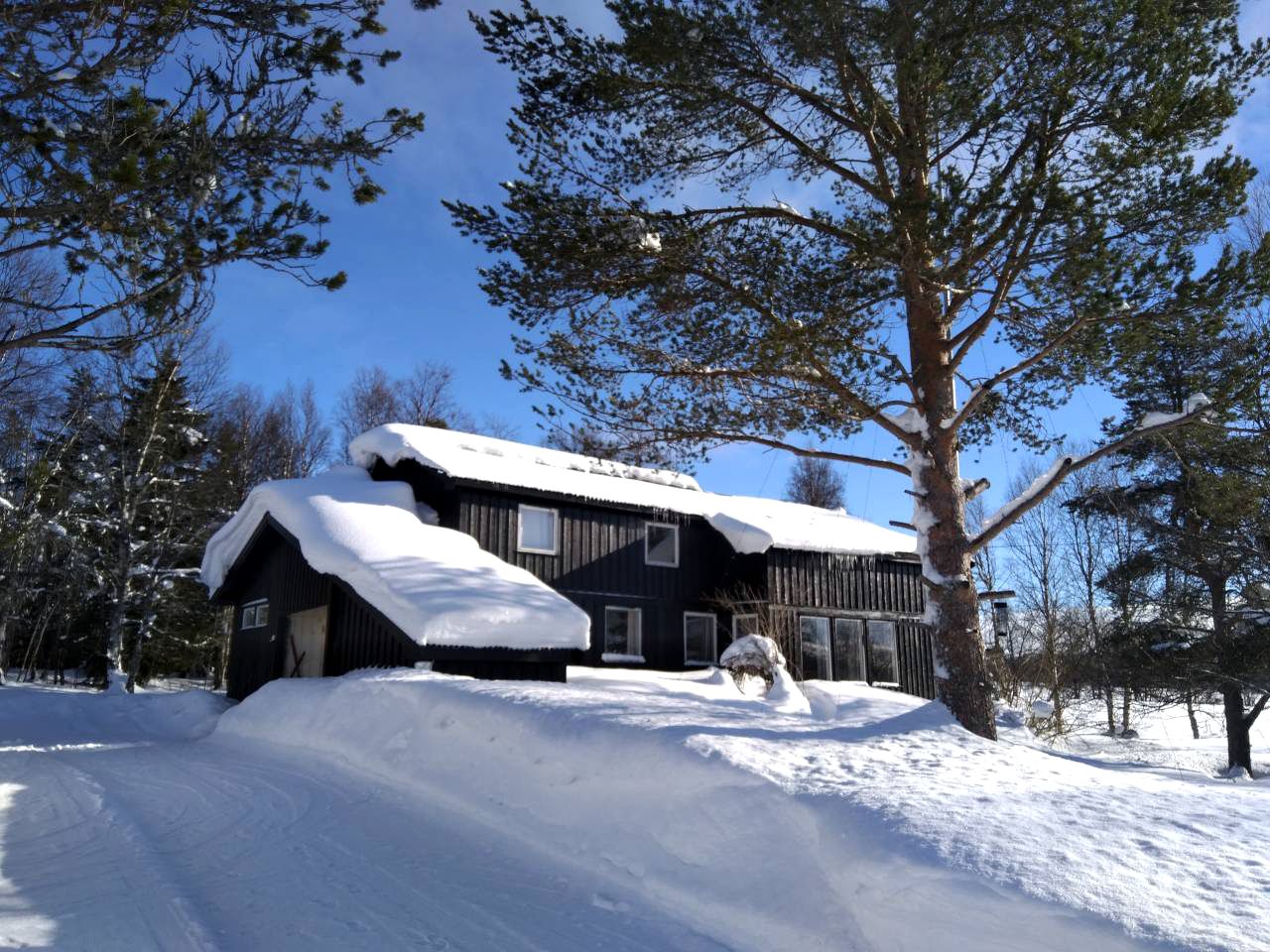 Contemporary Mountain Cabin Rental with a Fire Pit near Trysil Ski Resort in Norway