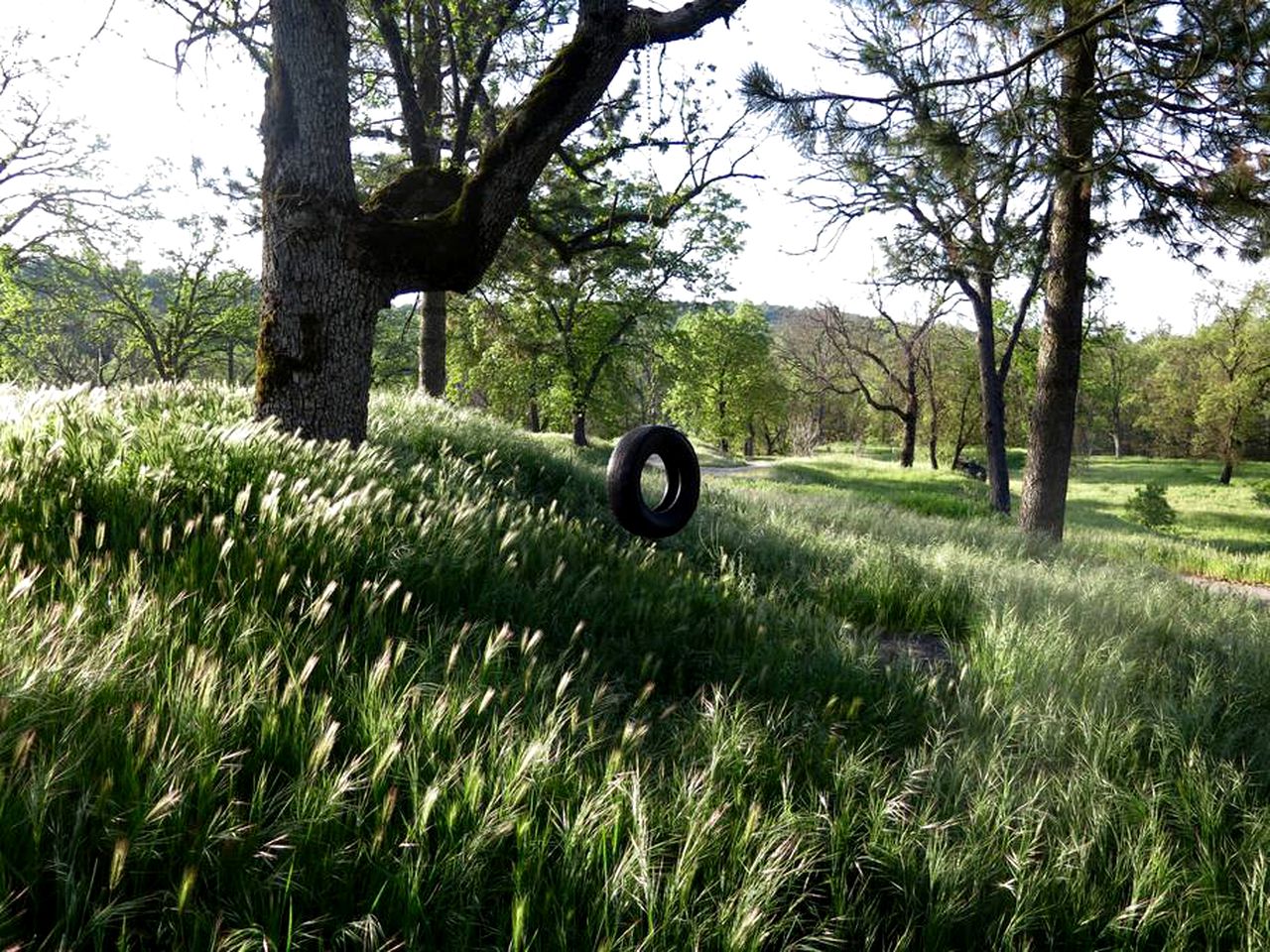 Contemporary Vacation Rental in the Sierra Nevada near Kings Canyon, California