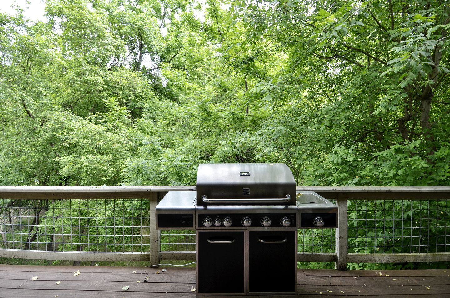 Group-Friendly Cabin with Hot-Tub and Game Space in Guerneville, California
