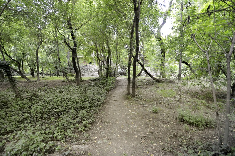 Cabins (United States of America, Guerneville, California)