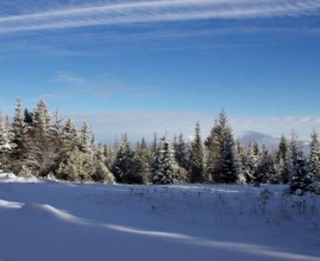 Log Cabins (Mt. Hood, Oregon, United States)