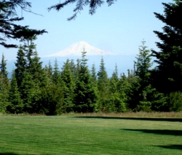 Log Cabins (Mt. Hood, Oregon, United States)