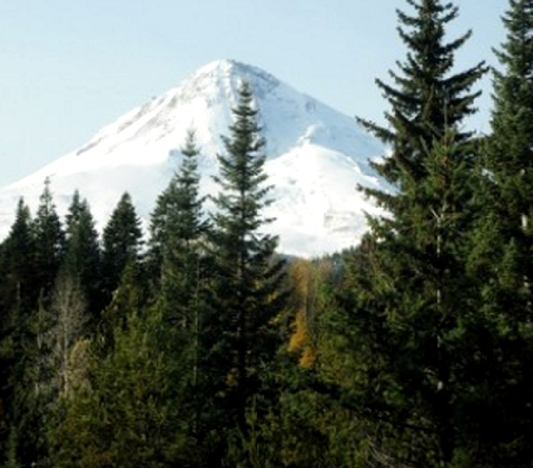 Idyllic Log Cabin with Private Hot Tub in Mount Hood Resort, Oregon