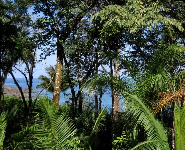 Nature Lodges (Osa Peninsula, Puntarenas, Costa Rica)