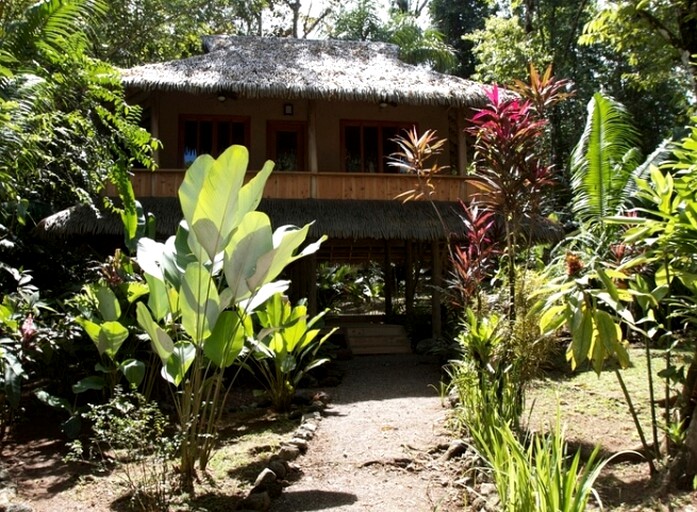 Cabins (Osa Peninsula, Puntarenas, Costa Rica)