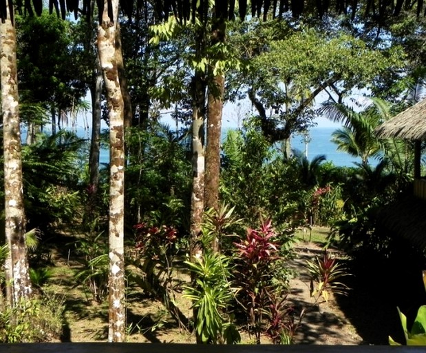 Cabins (Osa Peninsula, Puntarenas, Costa Rica)